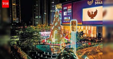 ख्रिसमसची झाडे दागिन्यांपेक्षा अधिक प्रकाशाकडे वळतात