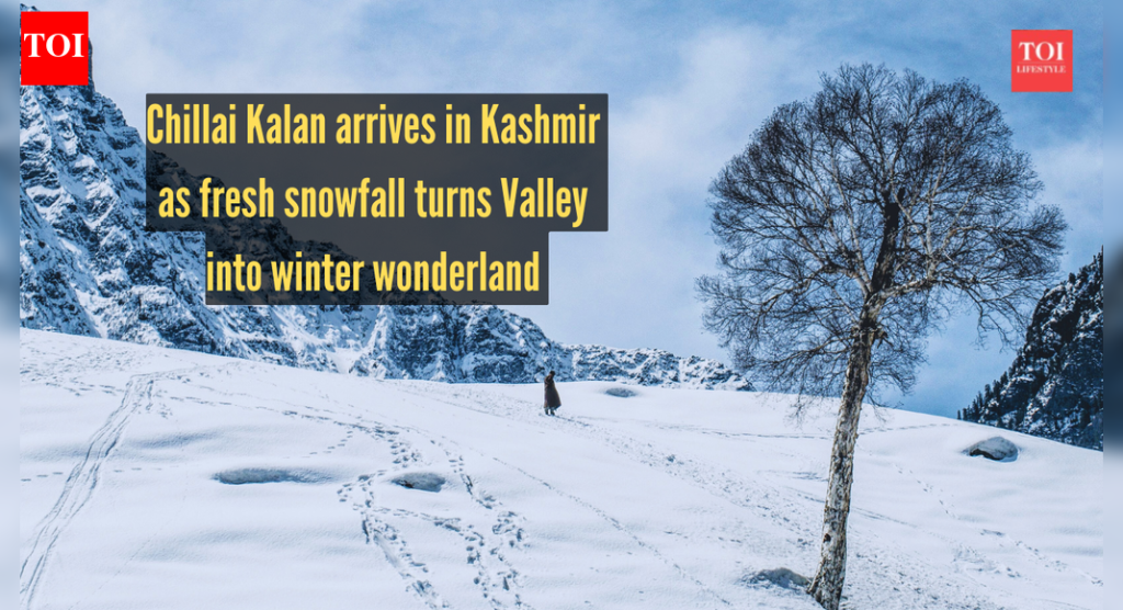 ताज्या हिमवृष्टीमुळे व्हॅली हिवाळ्यातील वंडरलैंडमध्ये बदलत असताना चिल्लई कलानचे आगमन झाले