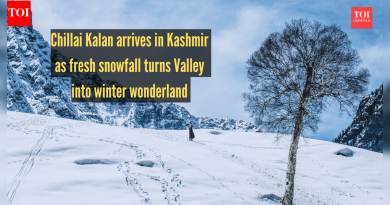 ताज्या हिमवृष्टीमुळे व्हॅली हिवाळ्यातील वंडरलैंडमध्ये बदलत असताना चिल्लई कलानचे आगमन झाले