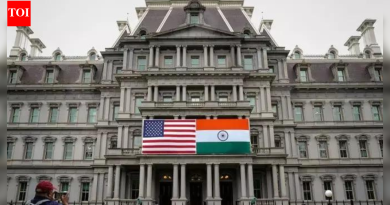 अमेरिकेचे दूतावास, भारतातील वाणिज्य दूतावास नाताळच्या काळात बंद राहणार; नियमित सेवा निलंबित – तपशील तपासा