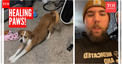 स्किझोफ्रेनियासह जगणे: मनुष्याने सांगितले की त्याचा कुत्रा त्याला भ्रमाचा सामना करण्यास कशी मदत करतो |