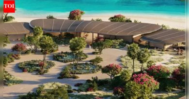 2026 मध्ये सौदी अरेबियात येणार फक्त प्रौढांसाठी वेलनेस रिसॉर्ट; प्रवाशांना सर्व काही जाणून घ्यायचे आहे