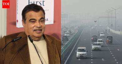 ‘दिल्लीत दोन दिवस, मला संसर्ग झाला’: नितीन गडकरींनी वायू प्रदूषणाची तीव्रता दाखवली; वाहतूक क्षेत्राची भूमिका अधोरेखित करते