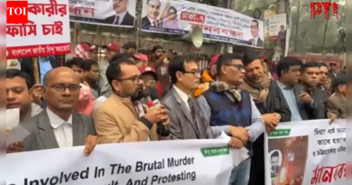 पहा : ढाक्यात हिंदू गटाची निदर्शने; बांगलादेशातील अल्पसंख्याक लिंचिंगवर कारवाईची मागणी