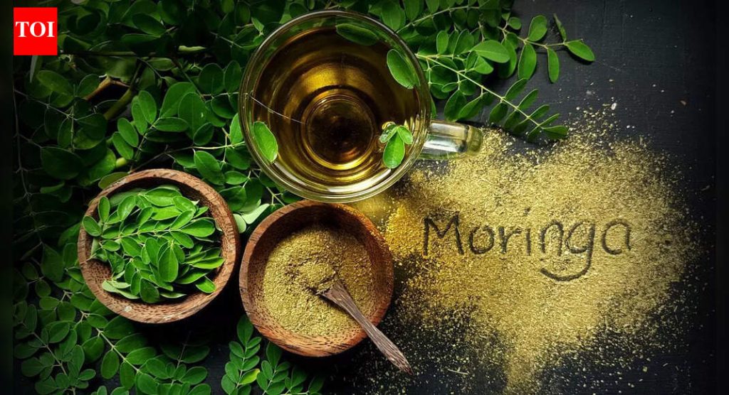 मोरिंगा ची पाने चघळल्याने तुमचे आरोग्य खरोखर सुधारू शकते का? |