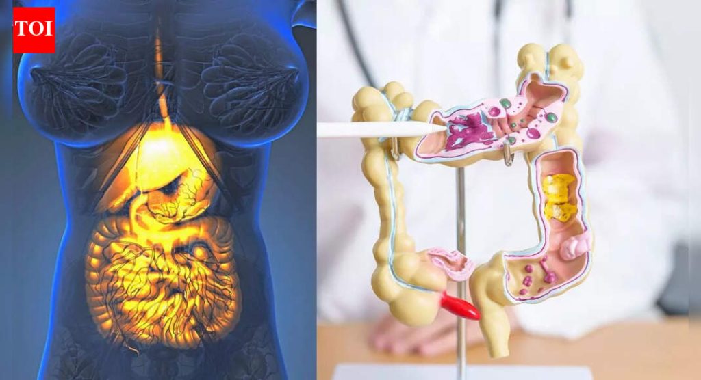 गॅस्ट्रोपेरेसिस वि. इरिटेबल बोवेल सिंड्रोम: लक्षणे, उपचार आणि फरक स्पष्ट केले |