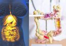 गॅस्ट्रोपेरेसिस वि. इरिटेबल बोवेल सिंड्रोम: लक्षणे, उपचार आणि फरक स्पष्ट केले |