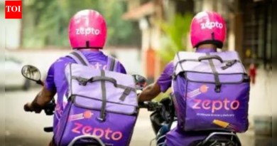 झेप्टोने आयपीओ प्रक्रिया सुरू केली: ई-कॉमर्स स्टार्टअपने सेबीकडे कागदपत्रांचा मसुदा फाइल केला: पुढील वर्षासाठी नियोजित रु. 11,000 कोटी इश्यू