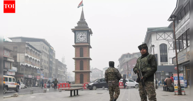 J&K विद्यार्थी संघटनेने म्हटले आहे की आणखी एका काश्मिरी शाल विक्रेत्यावर प्राणघातक हल्ला | भारत बातम्या