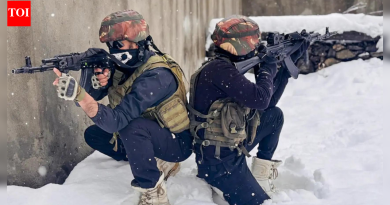 रडारवर 30-35 दहशतवादी: जम्मू आणि काश्मीरमध्ये लष्कराने दहशतवादविरोधी कारवाया वाढवल्या; ‘चिल्लई कलान’ दरम्यान वाढीव दक्षता