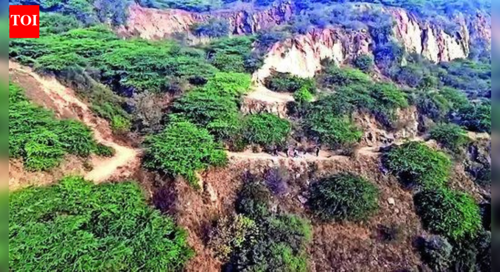 सुप्रीम कोर्टाने अरवलीला 20 वर्षे वाचवले आणि दोन वेळा पीएमओ