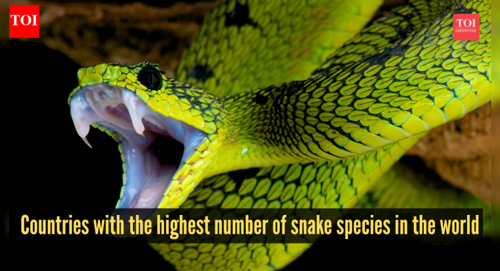 जगातील सर्वाधिक सापांच्या प्रजाती असलेले 10 देश
