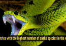 जगातील सर्वाधिक सापांच्या प्रजाती असलेले 10 देश