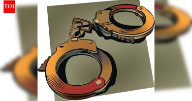 जमावाने आसाम पोलिसांवर हल्ला केला, पहलगाम समर्थक पदासाठी अटक केलेल्या व्यक्तीची सुटका केली