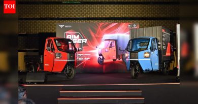 इलेक्ट्रिक थ्री-व्हीलरसाठी यापुढे अनुदान नाही: सरकारने लक्ष्य पूर्ण केले; आराम संपतो