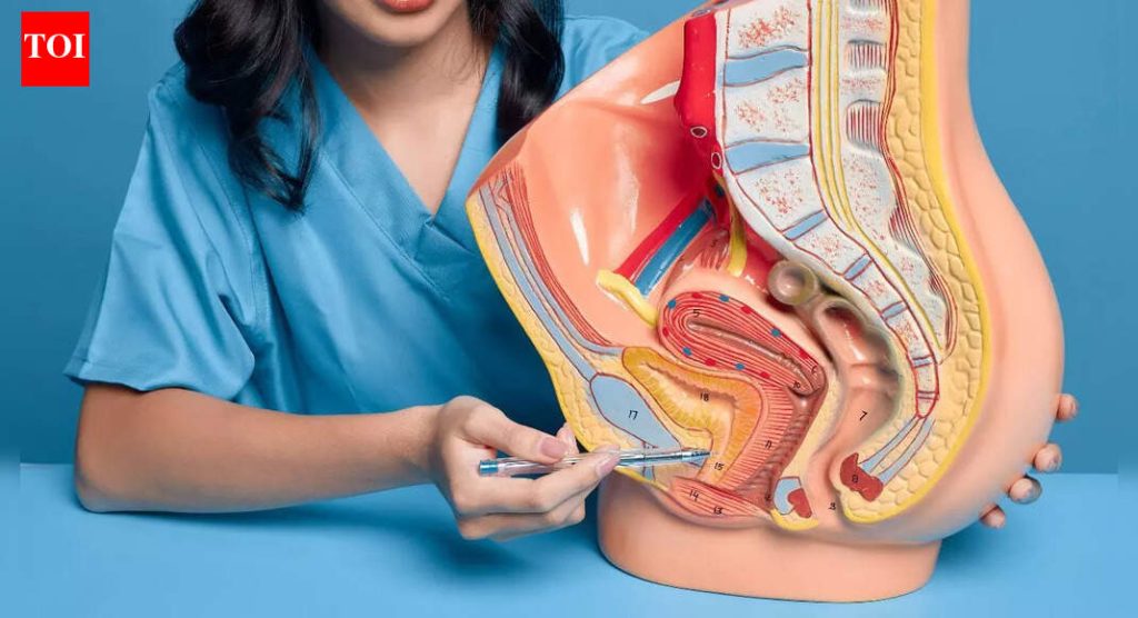 8 पदार्थ जे पित्त मूत्राशयाच्या कार्यास समर्थन देतात |