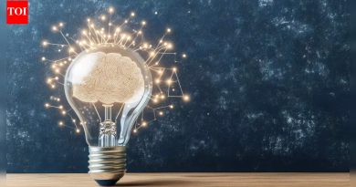 लाल रंगाचे पदार्थ जे तुमचा मेंदू मजबूत आणि तीक्ष्ण बनवतात |