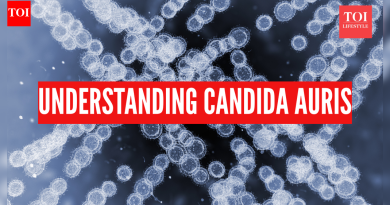 Candida Auris 27 यूएस राज्यांमध्ये पसरते: घातक बुरशीजन्य संसर्गाची लक्षणे आणि ते कसे टाळावे