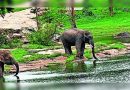 बेंगळुरूमध्ये अरावलीसारखी रांग: SC पॅनेलची आज भेट