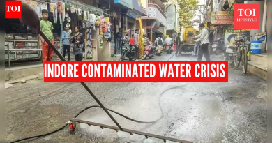 अतिसार, तापाने ६ महिन्यांच्या मुलाचा मृत्यू; दूषित पाणी हे कारण असल्याचा संशय: जलजन्य जीवाणू जीवाला कसे धोका देऊ शकतात आणि संरक्षित कसे राहायचे हे समजून घेणे