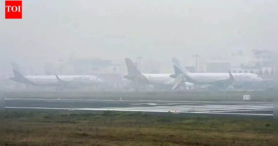 लखनौमध्ये 2 दिवसांत 28 वेळा धुक्याने 2 फ्लाइट सर्कल, लँडिंग करू शकले नाहीत; IGI विमानतळावर परतले | भारत बातम्या