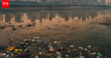 मध्य प्रदेशात पोपटांचा मृत्यू: नर्मदेच्या किनारी अन्न कचरा आणि कीटकनाशक विषबाधा मानवी आरोग्याची चिंता आणि सुरक्षा धोके वाढवते