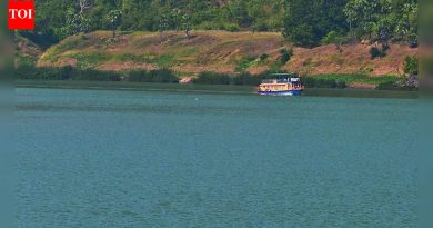 आंध्र प्रदेश गोदावरीचे पाणी चोरण्याचा प्रयत्न : तेलंगणा