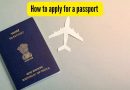 भारतातील पासपोर्टसाठी अर्ज कसा करावा (२०२५-२६): एका आठवड्यात तुमचा पासपोर्ट कसा मिळवावा याविषयी प्रवासी टिप्स |