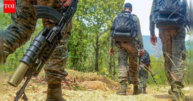 जम्मू-काश्मीर: कठुआमध्ये सुरक्षा दल आणि दहशतवाद्यांमध्ये चकमक; ऑपरेशन चालू आहे