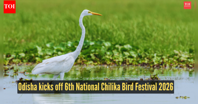 ओडिशाने 6 व्या राष्ट्रीय चिलिका पक्षी महोत्सव 2026 ला सुरुवात केली, संरक्षण-नेतृत्वाच्या पर्यटनावर प्रकाश टाका |