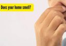 तुमच्या घरात वास येतो का? ही समस्या कायमची कशी शोधावी आणि त्याचे निराकरण कसे करावे |