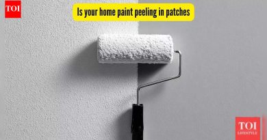 तुमच्या घरातील पेंट पॅचमध्ये सोलत आहे का? या समस्येचे त्वरित निराकरण कसे करावे ते येथे आहे |