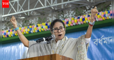 ‘एसआयआरमुळे 77 मृत्यू’: ममतांनी EC वर पुन्हा केला स्फोटक आरोप; झेंडे ‘अमानवी’ परिस्थिती