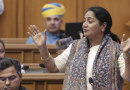 ‘मला त्रास झाला आहे…’: दिल्लीच्या मुख्यमंत्री रेखा गुप्ता यांनी आप मेम्सवर तिला लक्ष्य केले