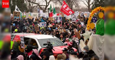 ‘आयसीई आउट फॉर गुड’: रेनी निकोल गुडच्या जीवघेण्या शूटिंगनंतर संपूर्ण यूएसमध्ये निदर्शने सुरू झाली – मुख्य तपशील