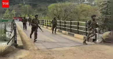 जम्मूच्या कानाचकमध्ये आंतरराष्ट्रीय सीमेजवळ सॅटेलाइट-कम्युनिकेशनने शोध मोहीम सुरू केली