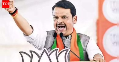 PMC polls: गुन्हेगारांना तिकीट दिल्याबद्दल मुख्यमंत्री देवेंद्र फडणवीस यांची पक्षांवर टीका; त्यांची जागा तुरुंगात आहे, महामंडळ नाही