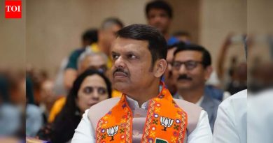 दिलेली आश्वासने विश्वासार्ह असली पाहिजेत: अजित पवारांच्या ‘मोफत पुणे मेट्रो आणि बस प्रवास’ आश्वासनांवर मुख्यमंत्री