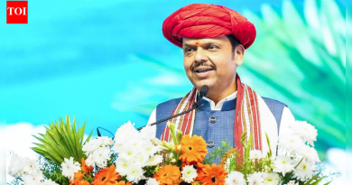 महाराष्ट्र नागरी निवडणुका: EC ने फडणवीस सरकारला जानेवारीसाठी ‘लाडकी बहिन’ स्टायपेंड देण्यास प्रतिबंध केला; येथे का आहे