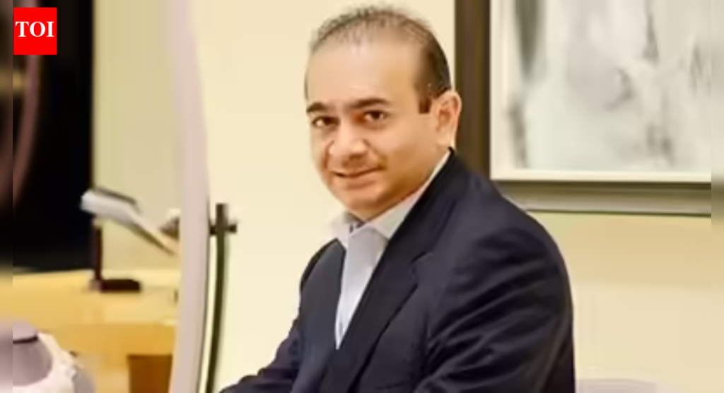 नीरवच्या 2 साथीदारांना घोषित गुन्हेगार घोषित करा: CBI