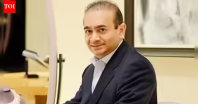 नीरवच्या 2 साथीदारांना घोषित गुन्हेगार घोषित करा: CBI