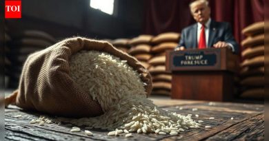 बासमतीचा व्यापार ठप्प! भारताच्या तांदूळ निर्यातीसाठी, किमतींसाठी इराणमधील अशांतता आणि ट्रम्पच्या 25% शुल्काचा अर्थ काय – स्पष्ट केले