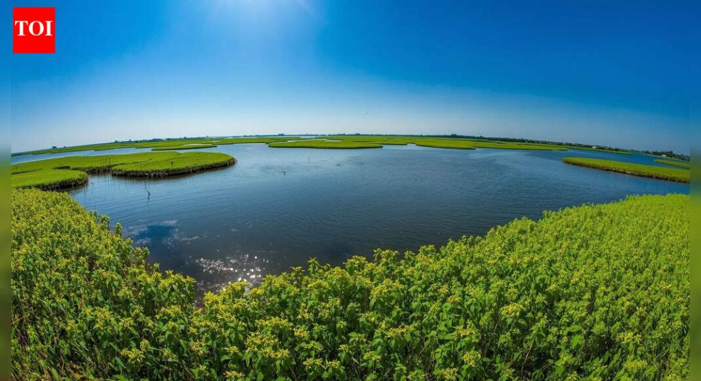 भारतामध्ये जगातील एकमेव तरंगते राष्ट्रीय उद्यान आहे: त्याचे स्थान जाणून घ्या |