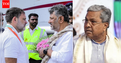 ‘राहुल गांधींनी विचारले आहे…’: डीके शिवकुमार यांनी ‘मुख्यमंत्री बदला’च्या चर्चेवर स्पष्टीकरण दिले – कर्नाटकच्या उच्च भागीदारी बैठकीच्या आत