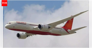 मध्यभागी भीती: एअर इंडियाचे सिंगापूरला जाणारे विमान दिल्लीला परतले; तांत्रिक बिघाड नोंदवला