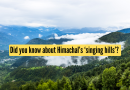 तुम्हाला हिमाचलच्या ‘सिंगिंग हिल्स’बद्दल माहिती आहे का? त्यांना कुठे शोधायचे ते येथे आहे |