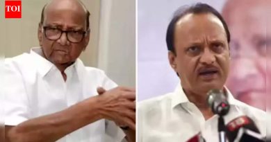 महाराष्ट्र निवडणूक निकालः पुणे, पिंपरी-चिंचवडमध्ये शरद पवार-अजित पवार कुटुंबाचे पुनर्मिलन; भाजपने अनेक प्रभागात धुव्वा उडवला