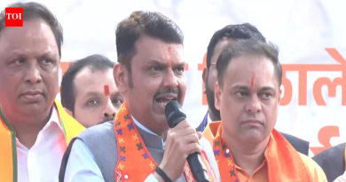 ‘हिंदुत्वाला विकासापासून वेगळे करता येणार नाही’: महायुतीच्या नागरी मतदानानंतर मुख्यमंत्री फडणवीस; भाजप 25 महापौर बनवणार आहे
