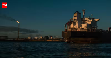 ‘न्यायिक प्रक्रियेच्या अधीन’: इराणमध्ये दूतावासाने भारतीय कर्मचाऱ्यांना ताब्यात घेतले; ‘वाणिज्यदूत प्रवेश’ शोधतो