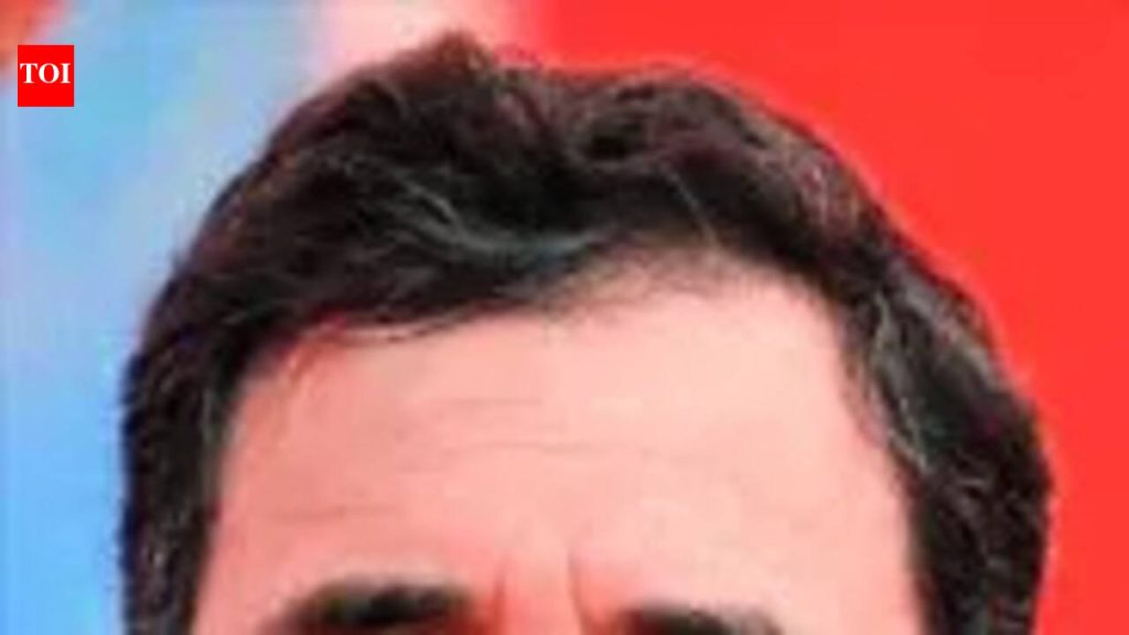 भेदभावाविरुद्ध लढण्यासाठी कायदा हवा, वेमुला जयंतीनिमित्त राहुल म्हणाले